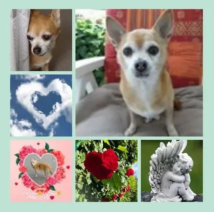 Andachtsbild von 100 Wochen - 700 Tage