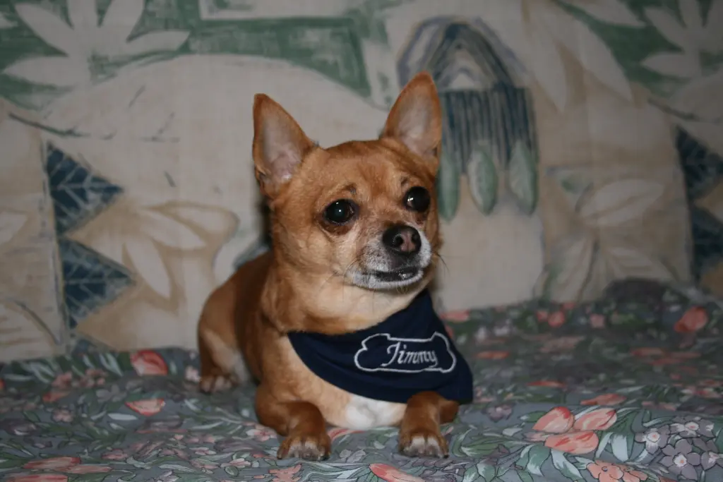 Andachtsbild von Silvia & Luna