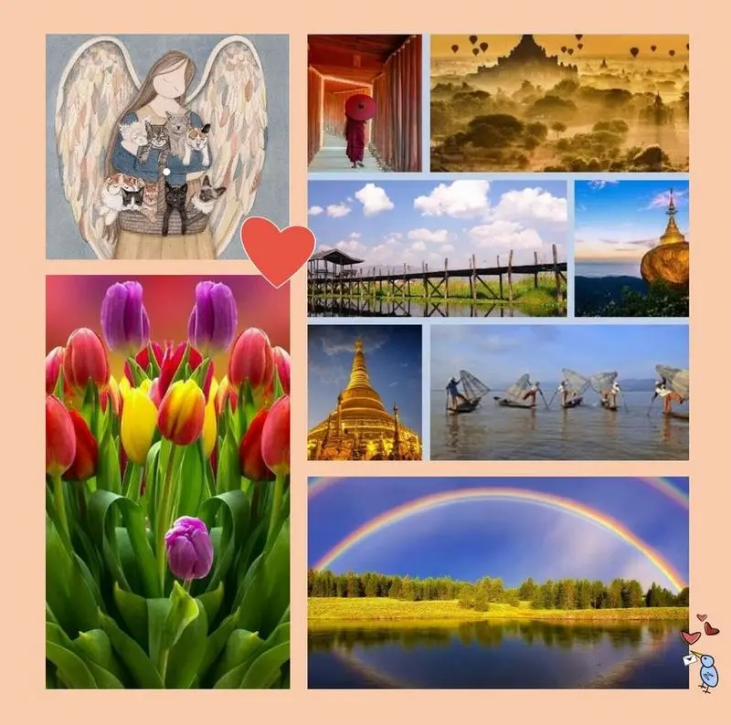 Andachtsbild von Rosen für Jimmy 