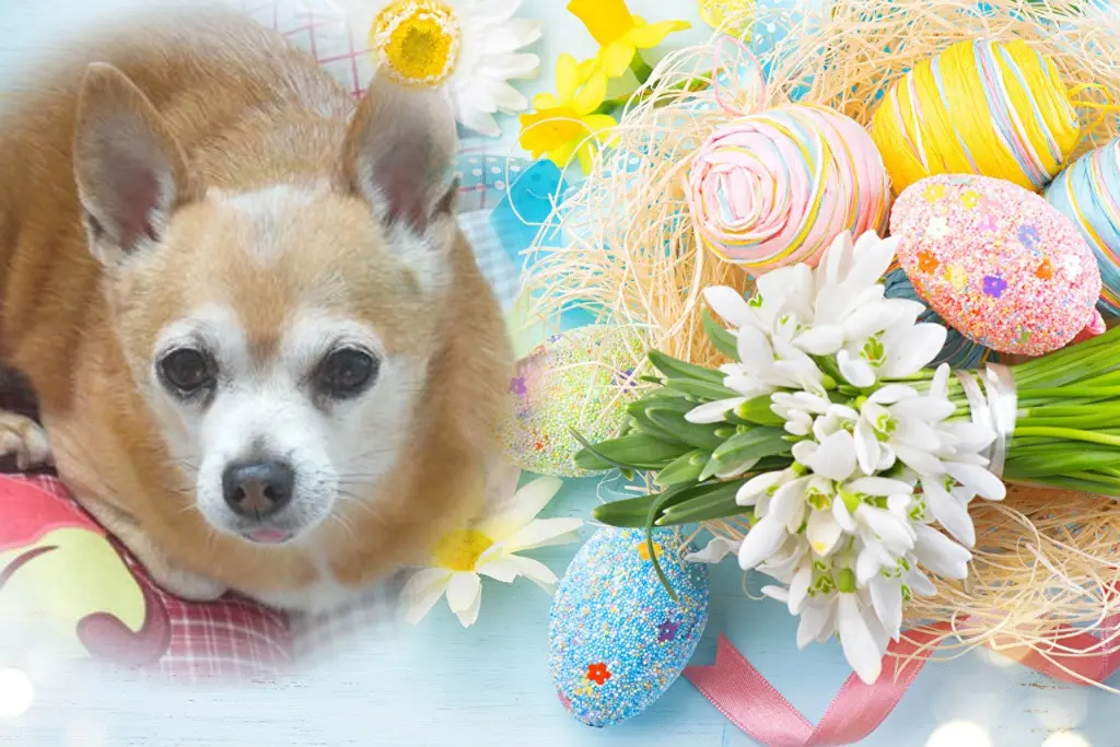 Andachtsbild von ❤️❤️❤️