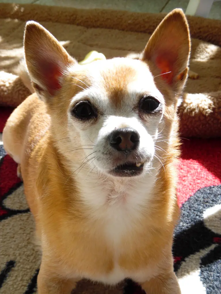 Andachtsbild von Jule und Irene