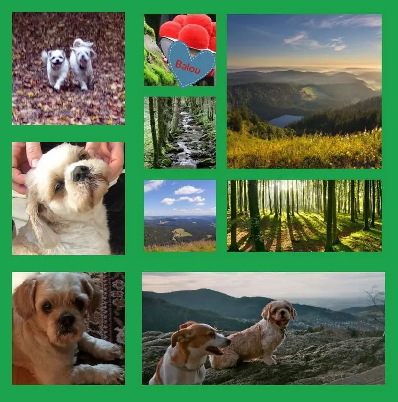 Andachtsbild von Marika mit Balou und Hippo im Herzen