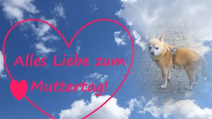 Andachtsbild von ❤️MAMA❤️