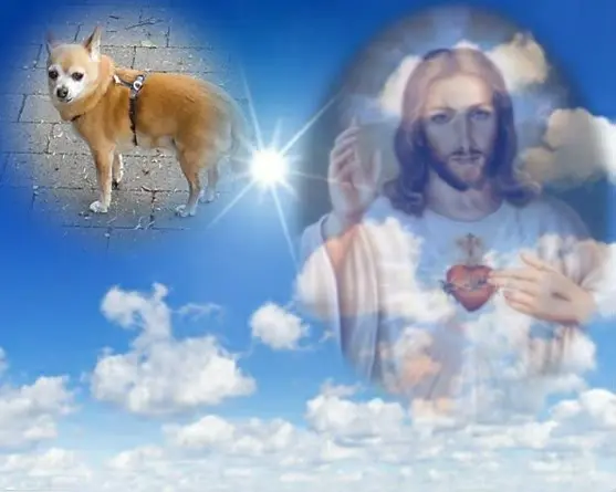 Andachtsbild von ❤️❤️❤️