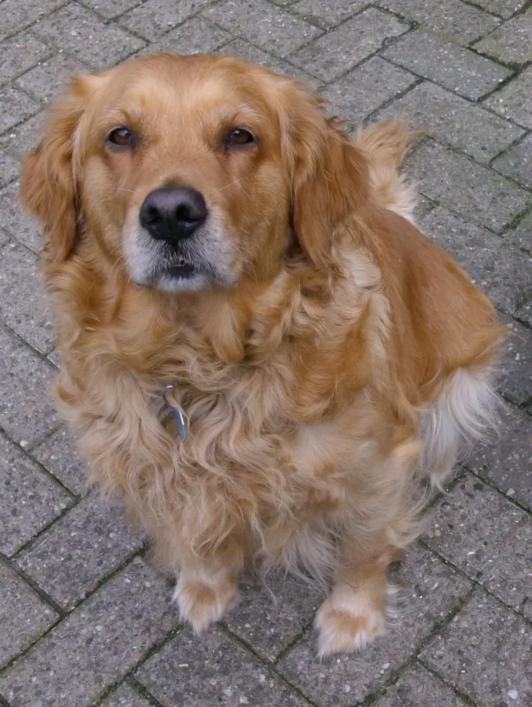 Andachtsbild von Ellen mit Lina ♥️