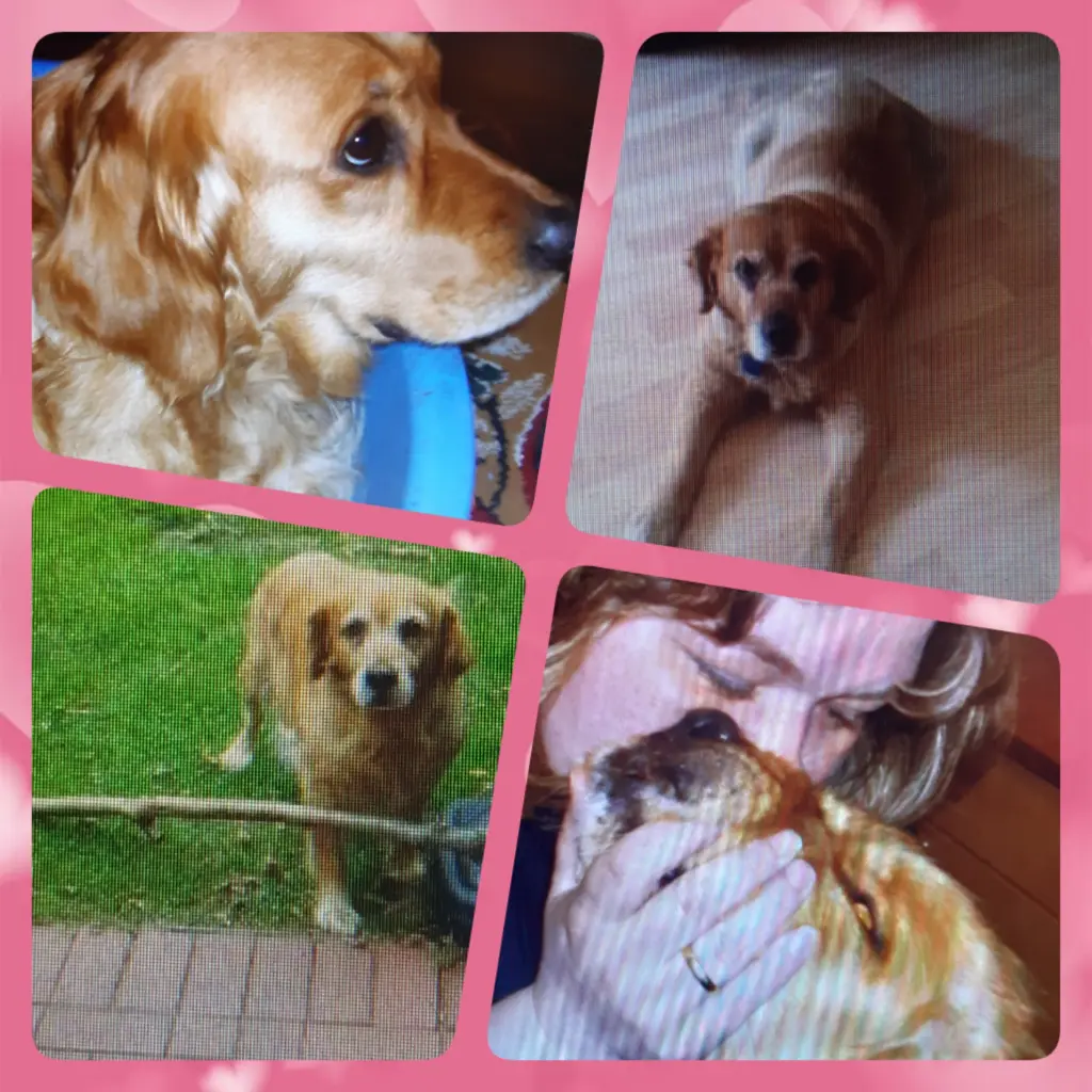 Andachtsbild von Ellen mit Lina ♥️