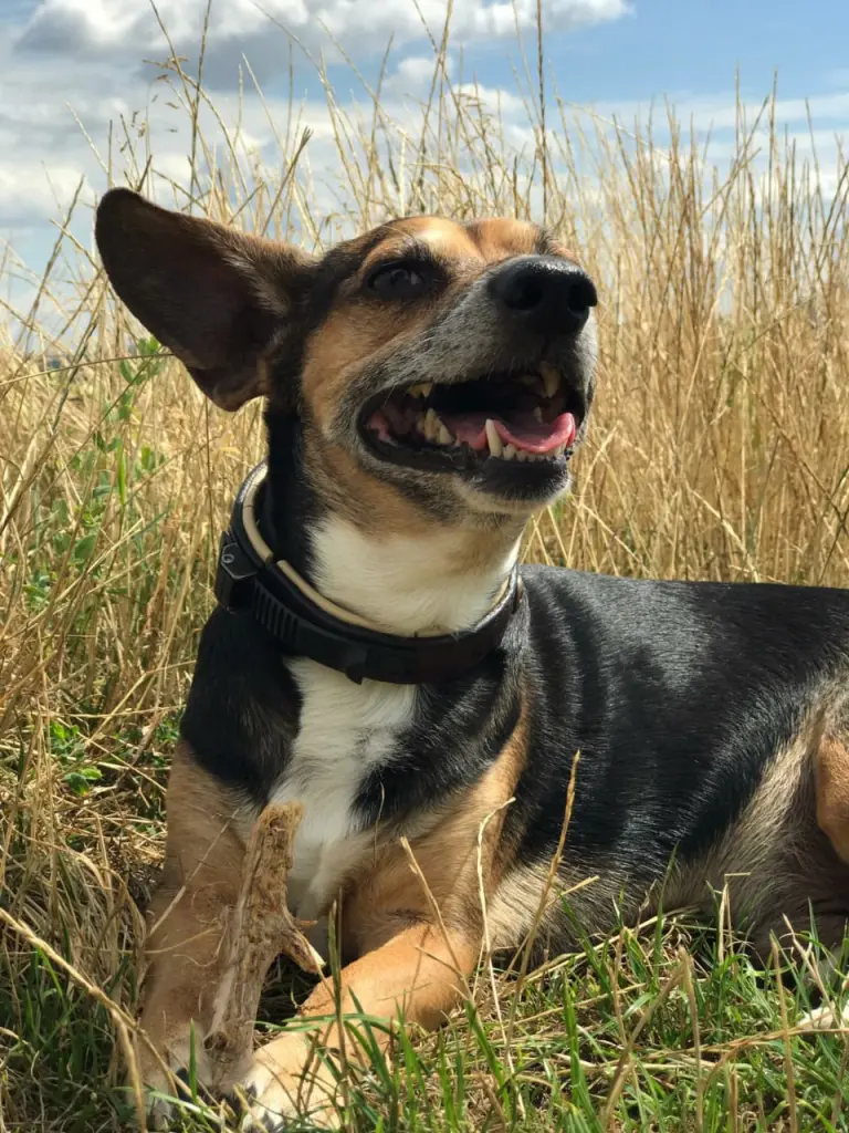 Andachtsbild von Elena mit Denny 