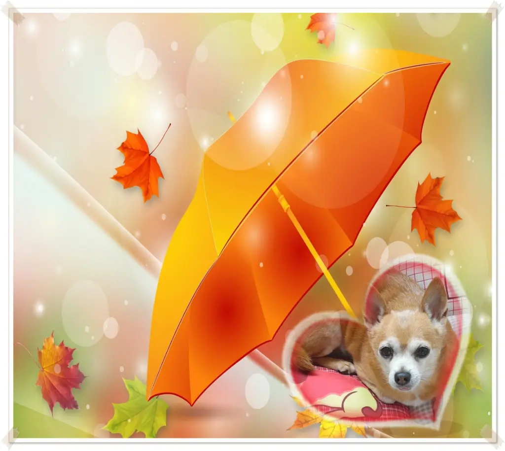 Andachtsbild von ❤️❤️❤️