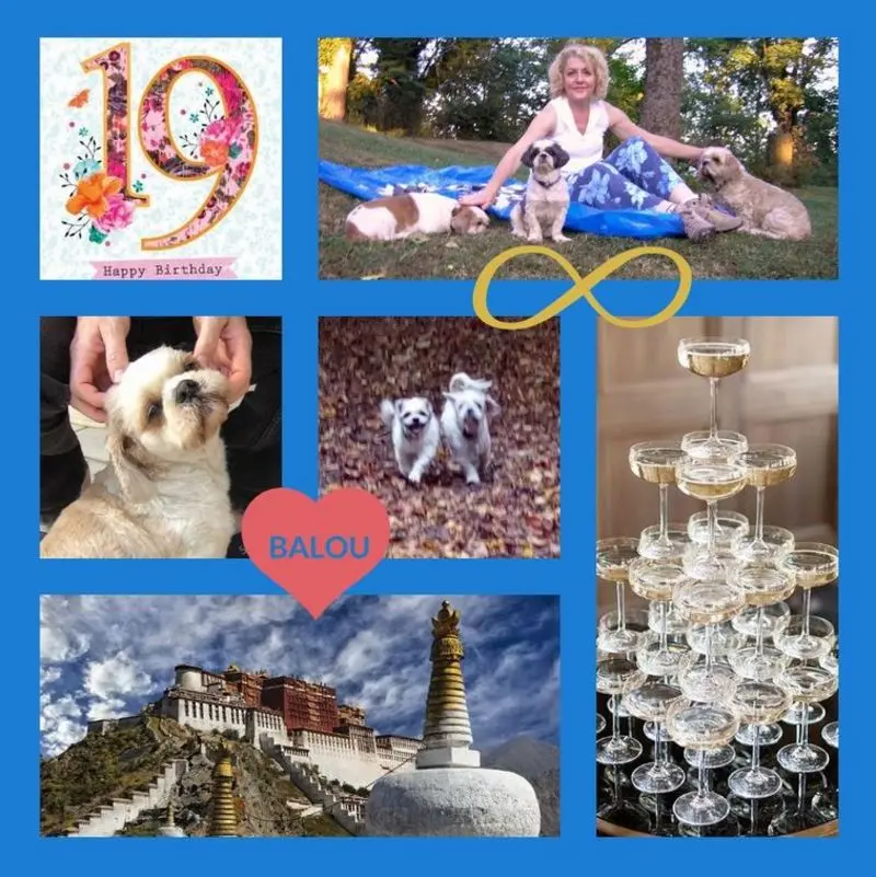 Andachtsbild von Marika mit Balou und Hippo im Herzen