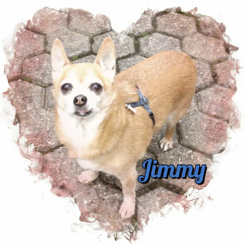 Andachtsbild von Ellen mit Lina ❤️