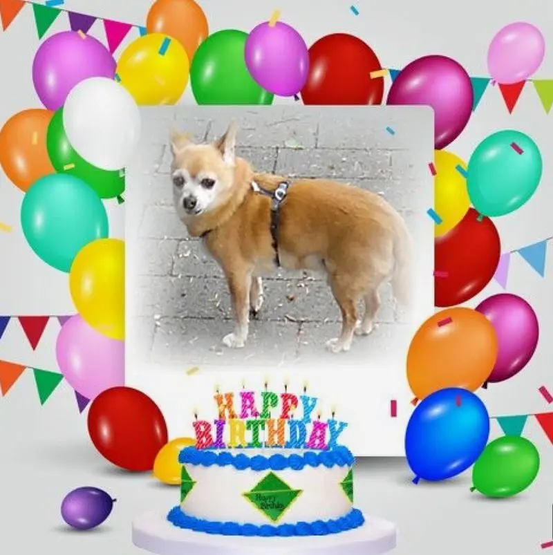 Andachtsbild von ❤️❤️❤️16. GEBURTSTAG❤️❤️❤️