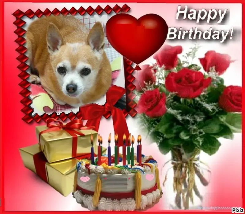 Andachtsbild von Jutta mit Purzel tief im Herzen✟08.05.2016