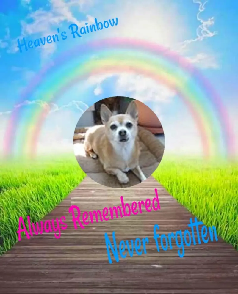 Andachtsbild von 3.Sternchen❤️❤️❤️Gedenktag❤️