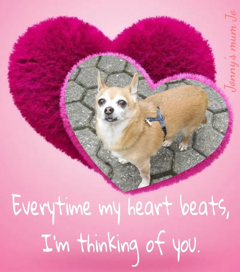 Andachtsbild von ❤️❤️❤️