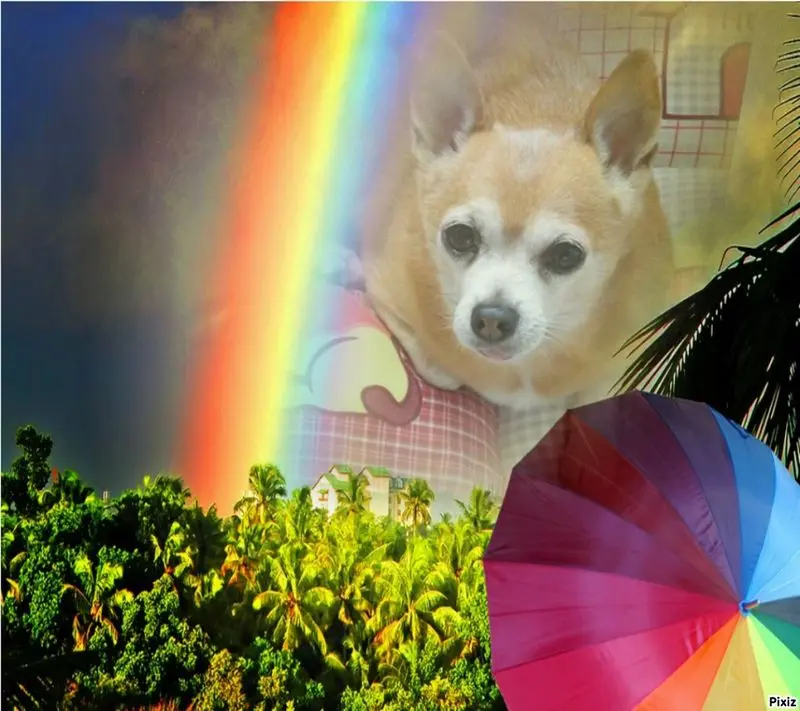 Andachtsbild von Jutta mit Purzel tief im Herzen✟08.05.2016