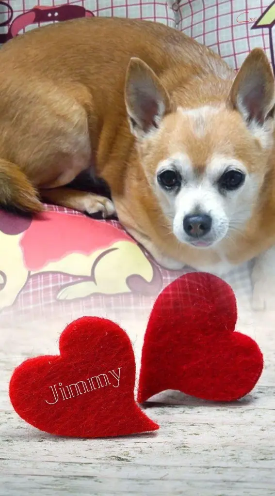 Andachtsbild von Ellen mit Lina ❤️