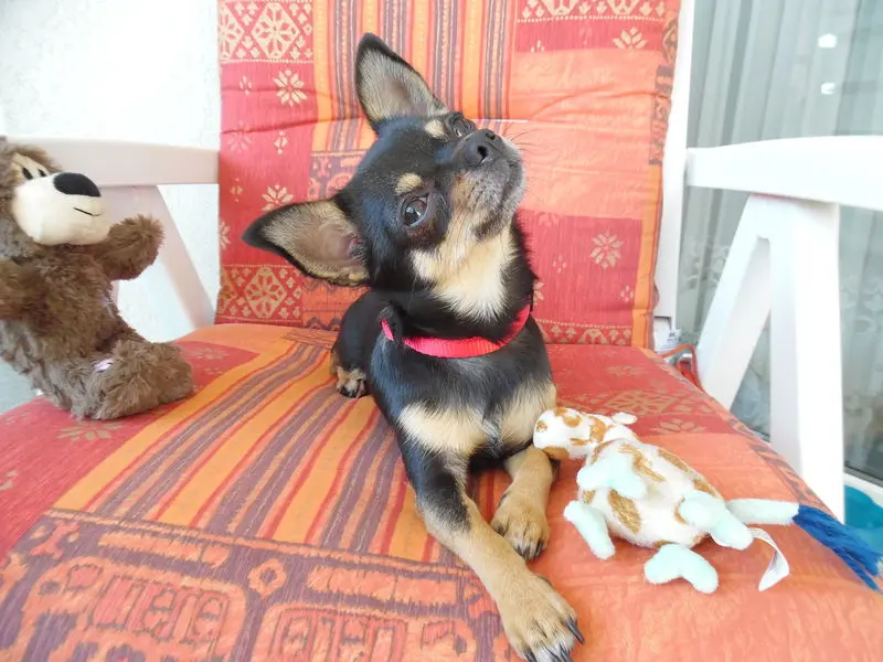 Andachtsbild von Jule