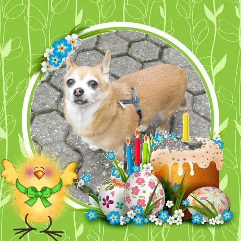 Andachtsbild von ❤️❤️❤️