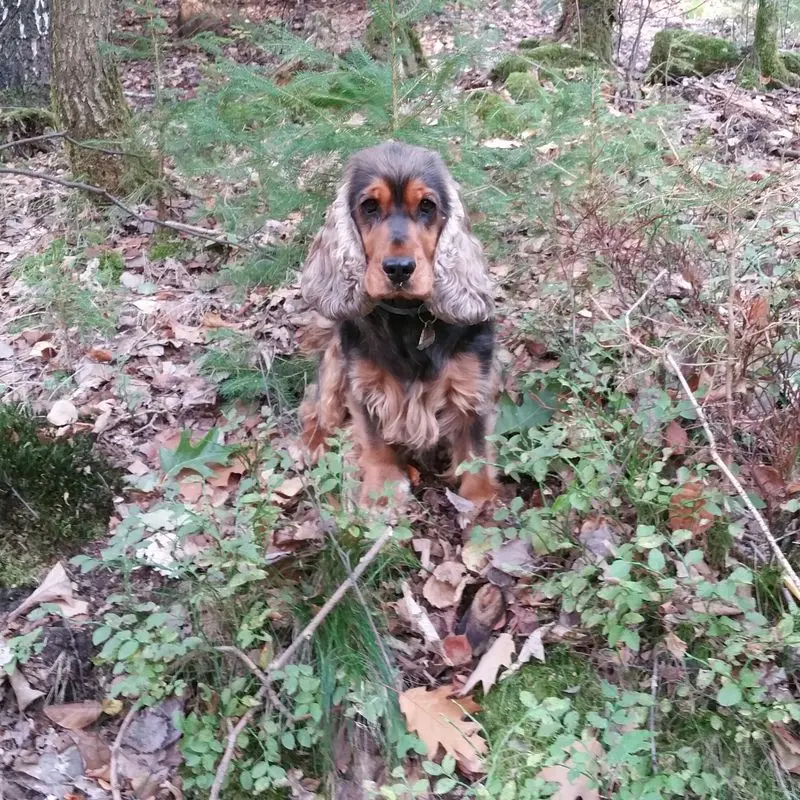 Andachtsbild von Christine mit Amy tief im ❤️(verst.13.Nov.2020)