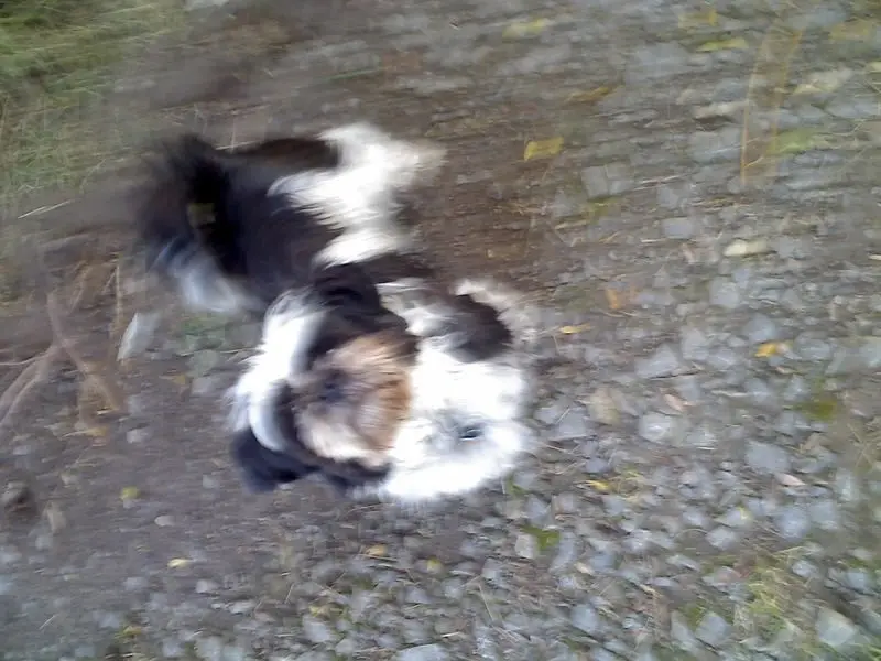 Andachtsbild von sabina mit Maitlyn gest.03.08.2018