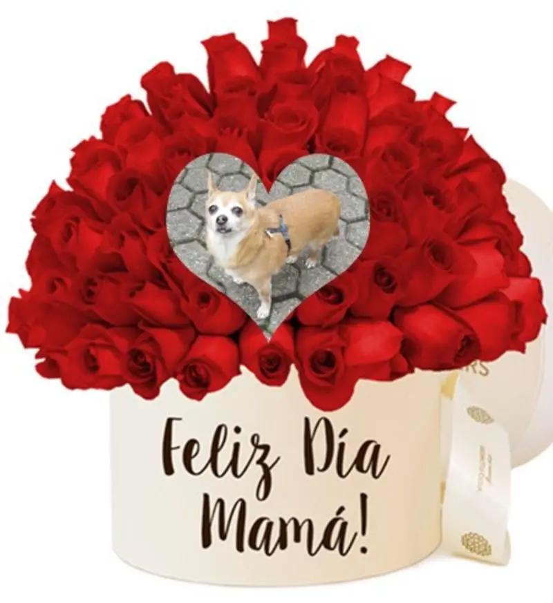 Andachtsbild von ❤️Mama❤️