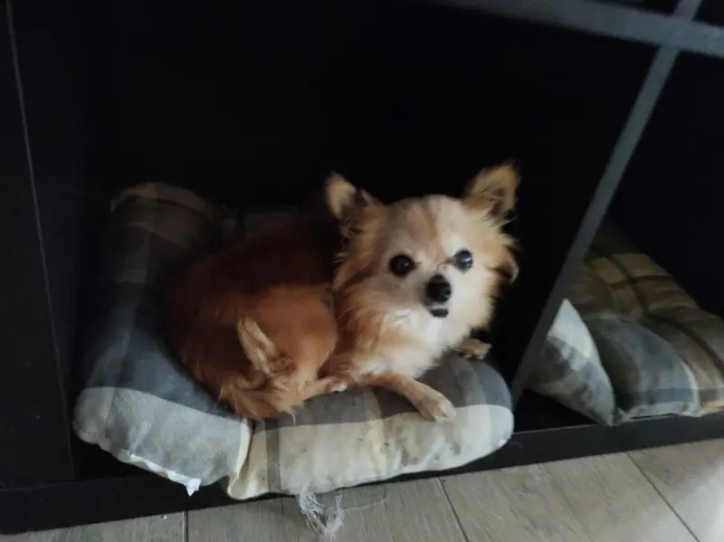 Andachtsbild von Kerstin