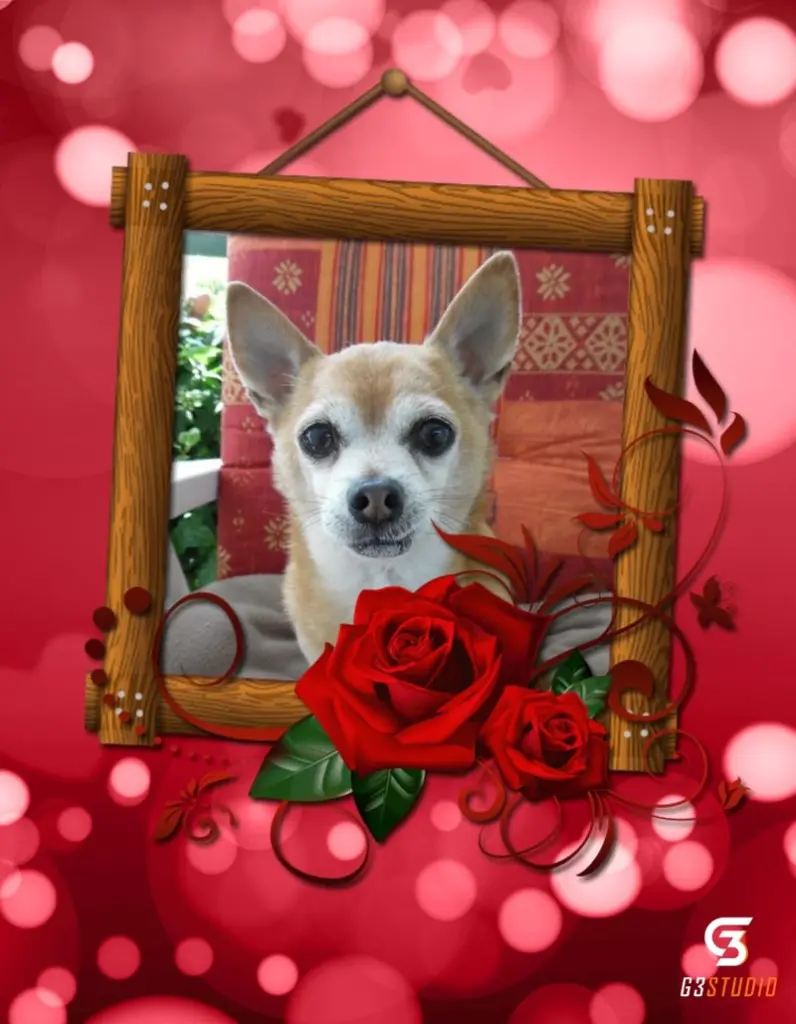 Andachtsbild von Sternchenpost ⭐