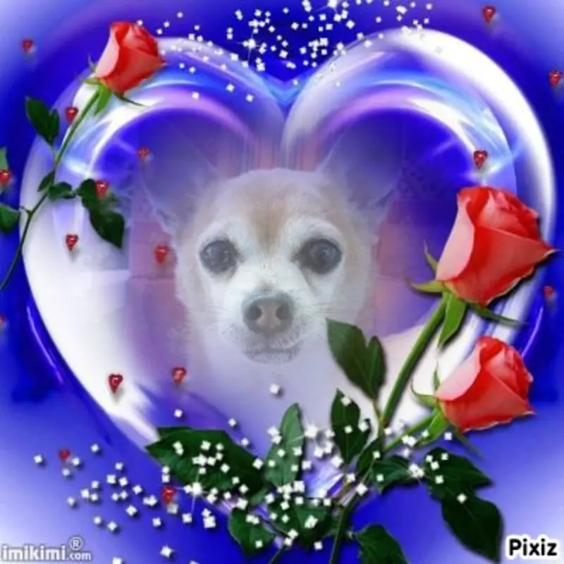 Andachtsbild von Sternchenpost ⭐