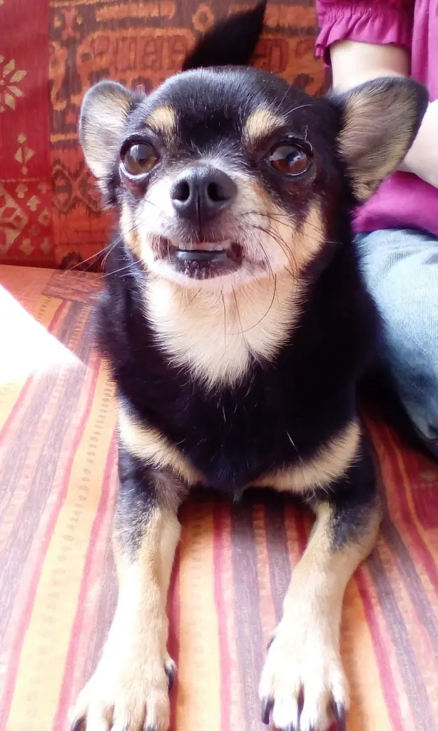 Andachtsbild von Deine kleine Jule ❤️