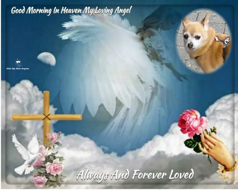 Andachtsbild von Guten Morgen❤️❤️❤️