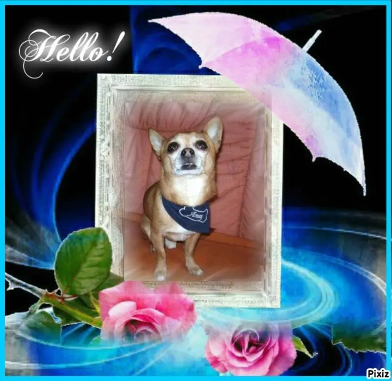 Andachtsbild von Sternchenpost ⭐