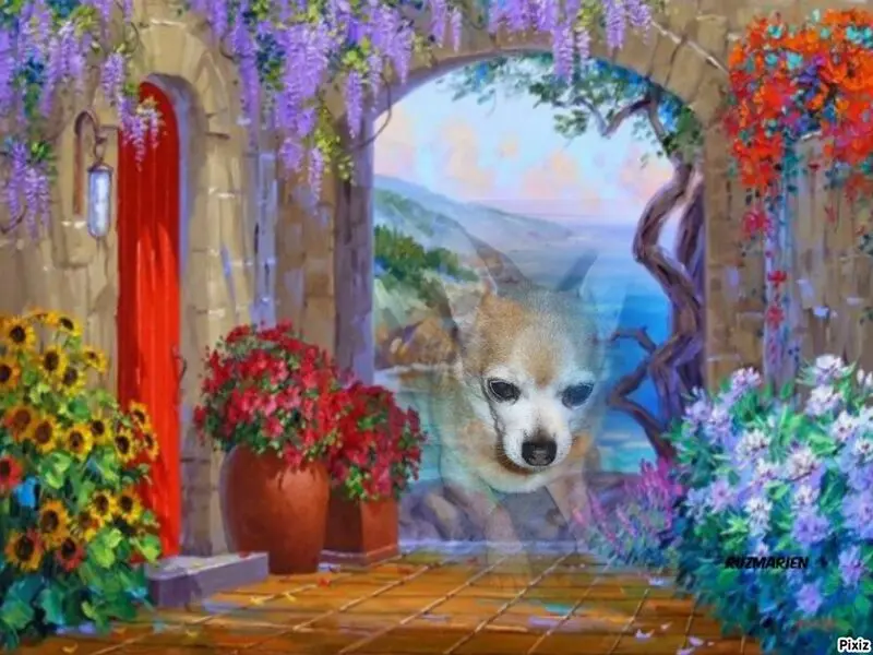 Andachtsbild von Sternchenpost ⭐