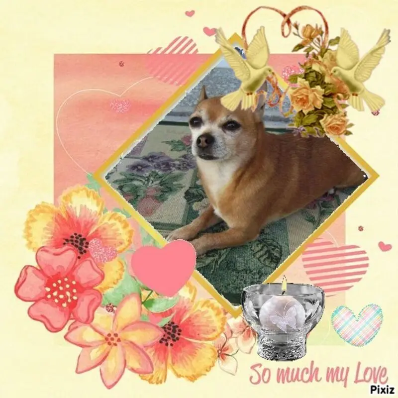 Andachtsbild von Sternchenpost ⭐