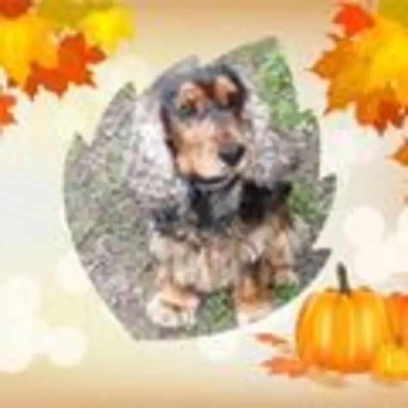 Andachtsbild von Christine mit Amy tief im Herzen(verst.13.11.2020)