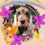 Andachtsbild von Christine mit Amy tief im Herzen(verst.13.11.2020)