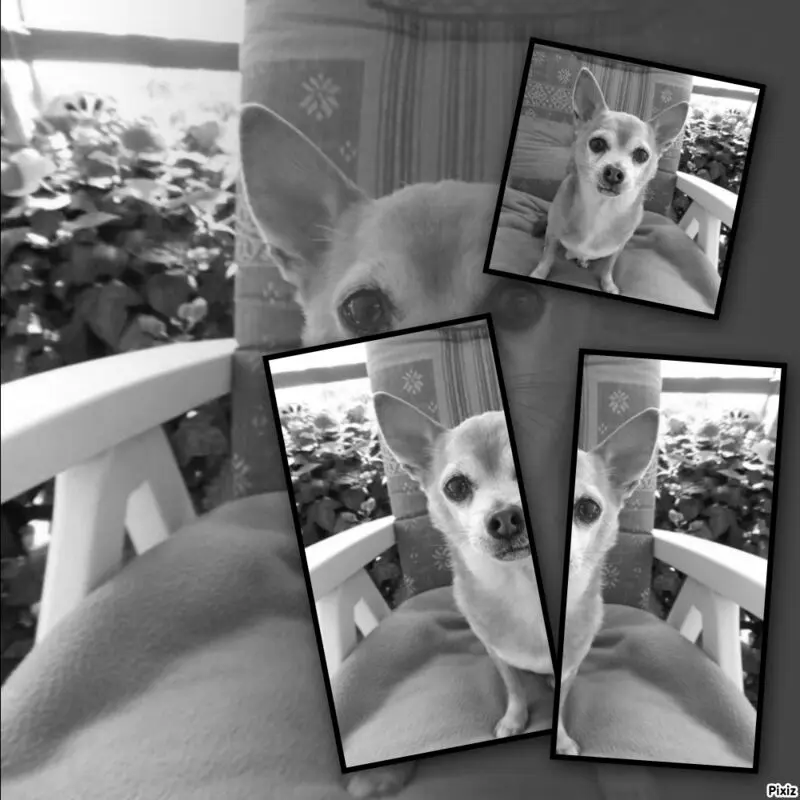 Andachtsbild von Sternchenpost ⭐