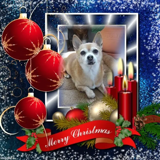 Andachtsbild von Patricia mit Bunny 