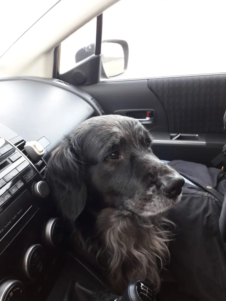 Andachtsbild von Rainer