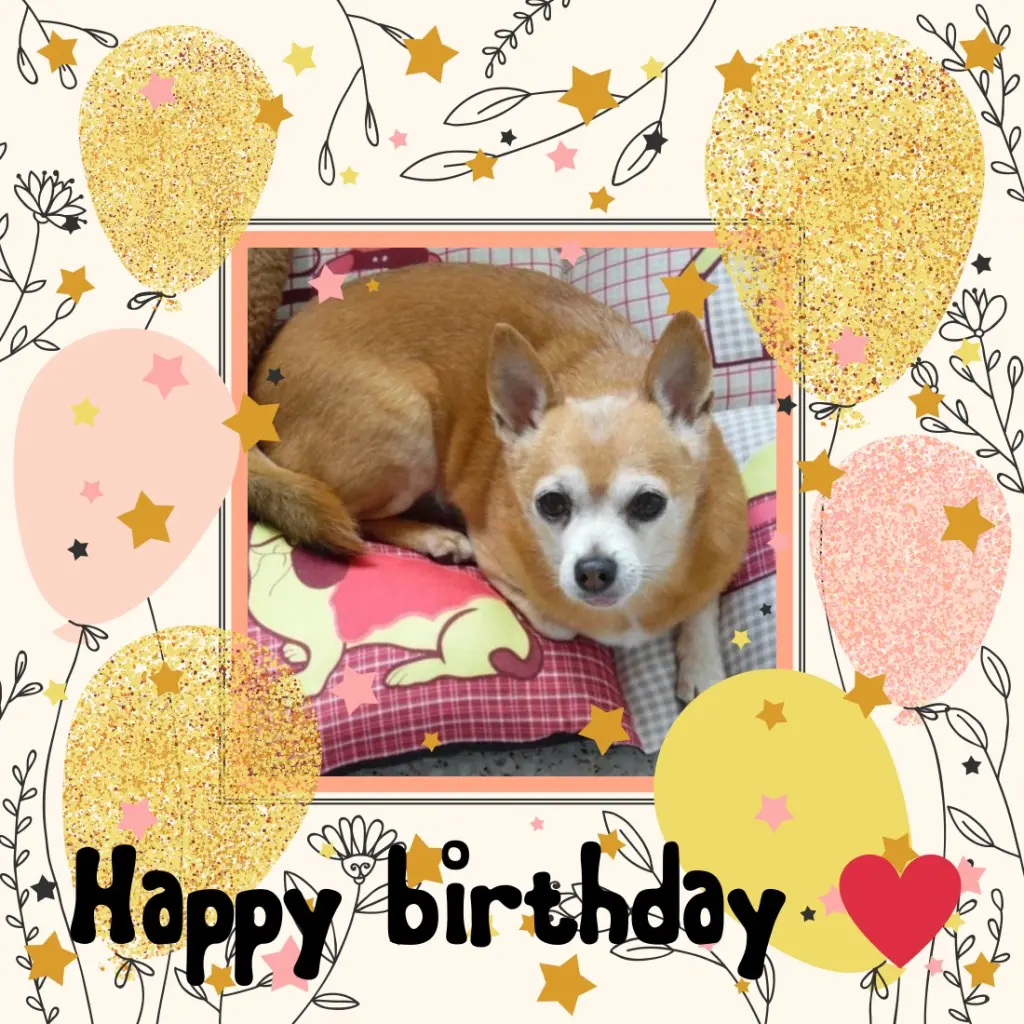 Andachtsbild von Andrea mit Minki im ♥️ gest. 19.10.2020