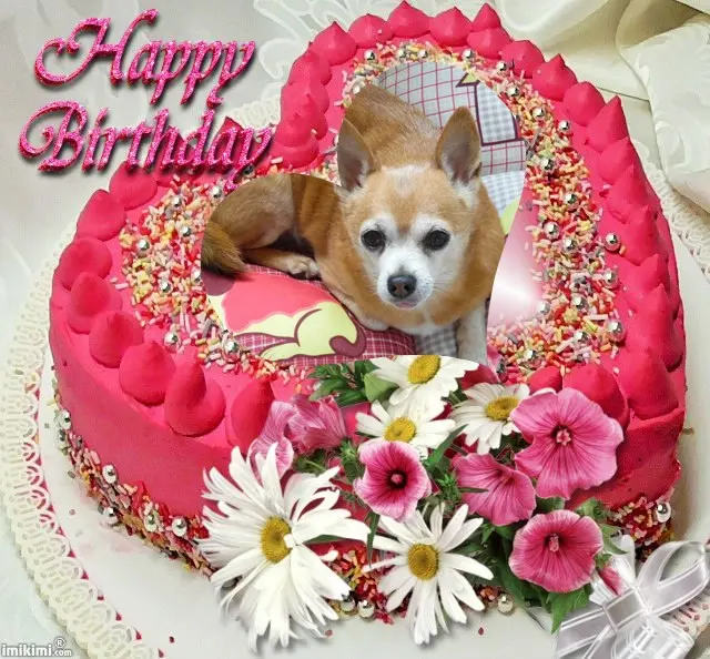 Andachtsbild von 17. Geburtstag❤️