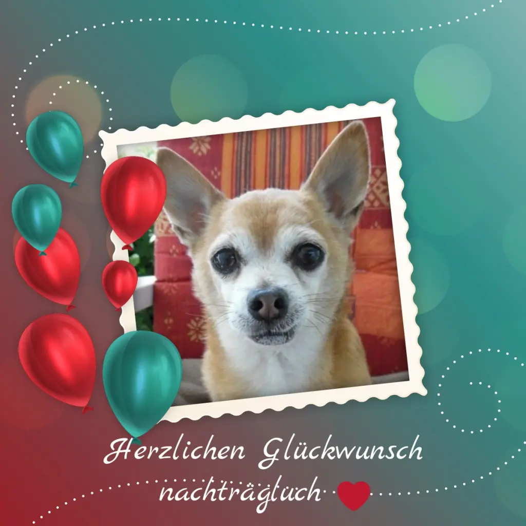 Andachtsbild von Patricia mit Bunny 