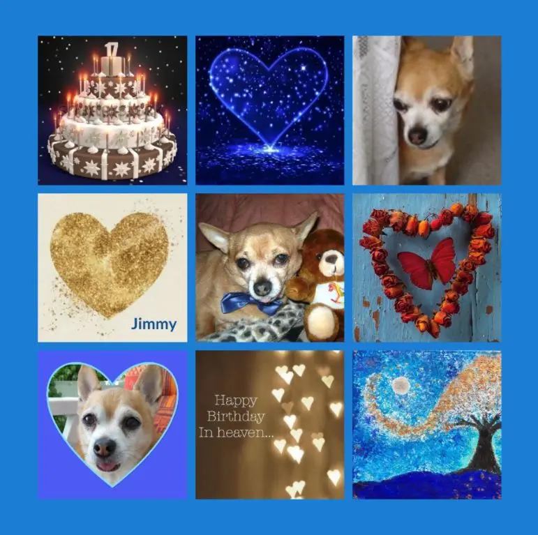 Andachtsbild von Sternenstaub-Rosen für Jimmy