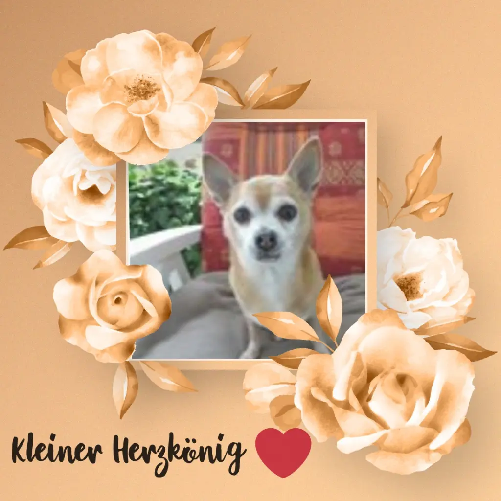 Andachtsbild von Sternchenpost ⭐