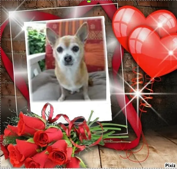 Andachtsbild von Sternchenpost ⭐