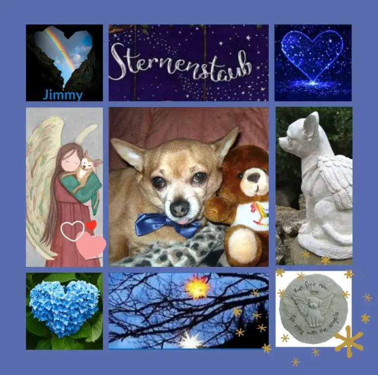 Andachtsbild von Sternen-Rosen zum 4. Sternchengeburtstag für Jimmy