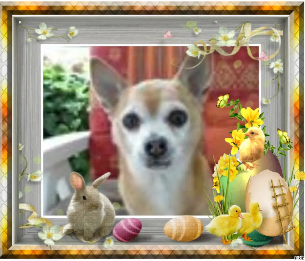 Andachtsbild von Patricia mit Bunny ❤