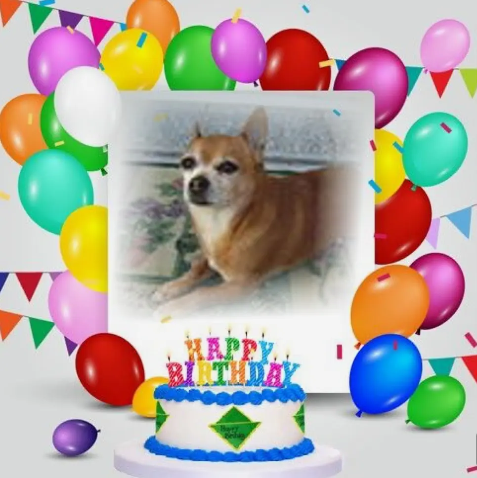 Andachtsbild von 17. Geburtstag❤️