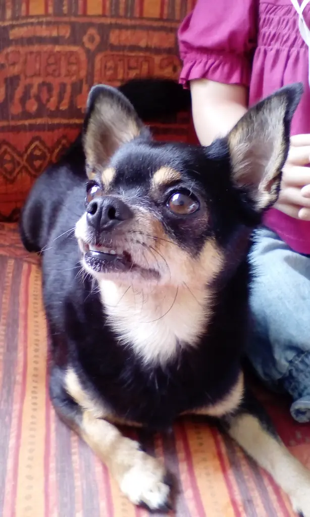 Andachtsbild von Deine Irene ♥️