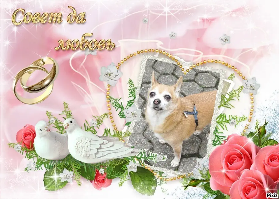 Andachtsbild von Sternchenpost ⭐