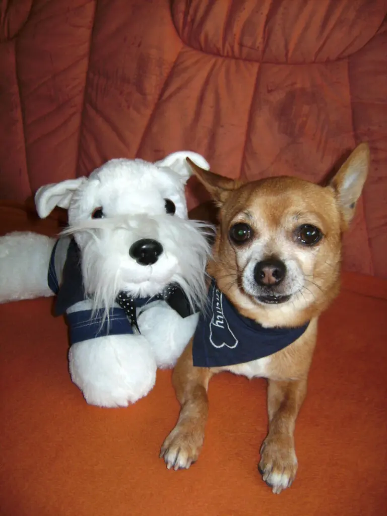 Andachtsbild von Irene und Jule